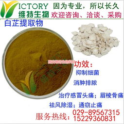 白芷提取物與西安維特生物科技的創(chuàng)新實踐